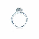 Oxford dobbelt halo oval ring